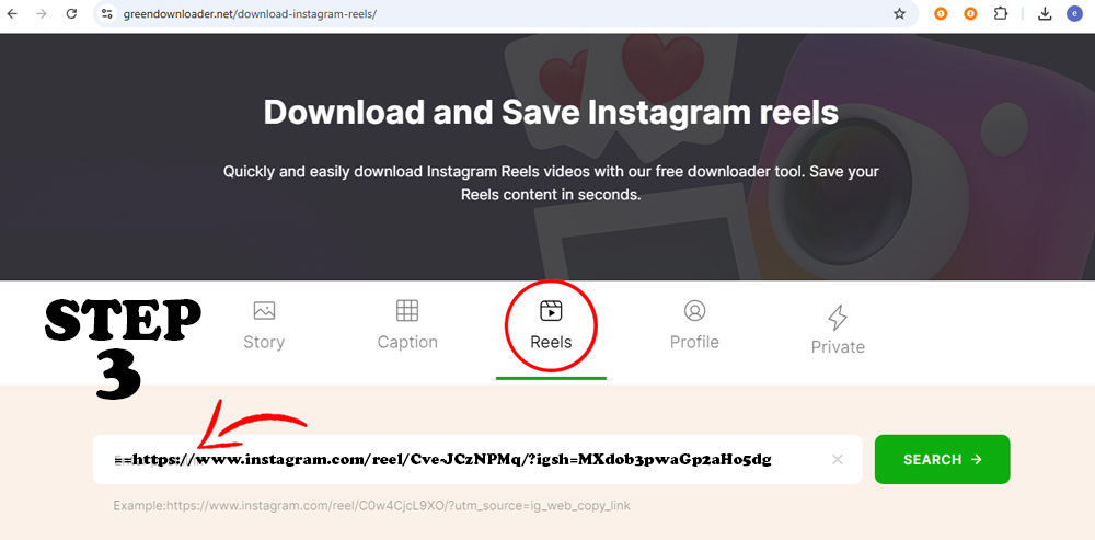 Instagram Reels Downloader