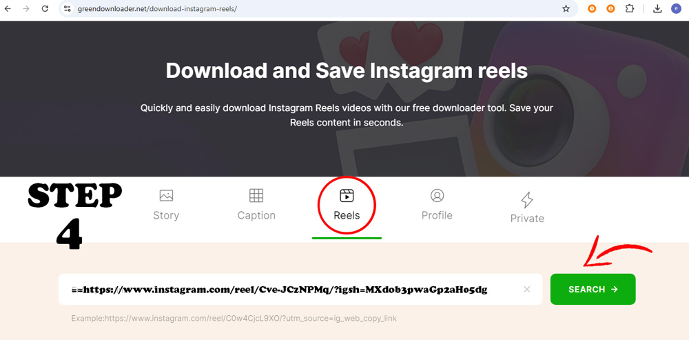 Téléchargeur de Reels Instagram