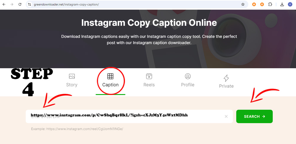 Instagram-Bildunterschrift kopieren