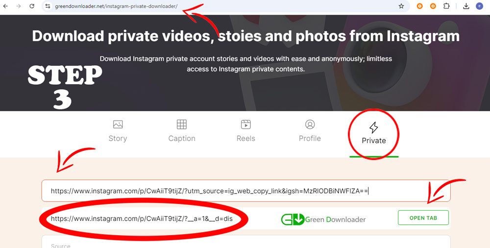 Instagram Private Downloader