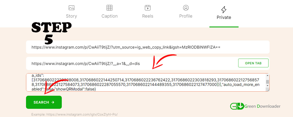 Instagram Private Downloader