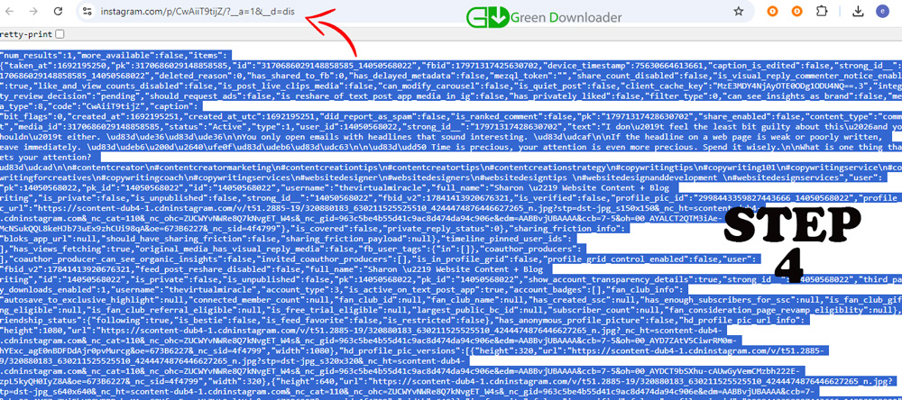Downloader Privato di Instagram