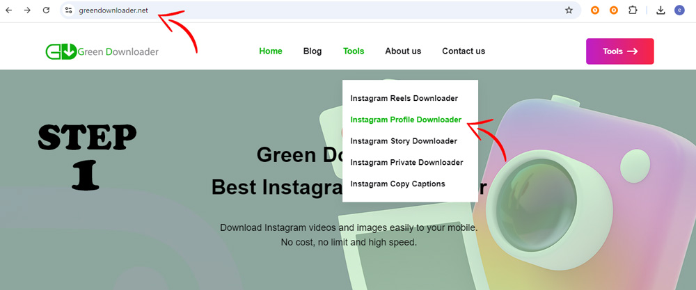 Instagram Profile Picture Downloader
