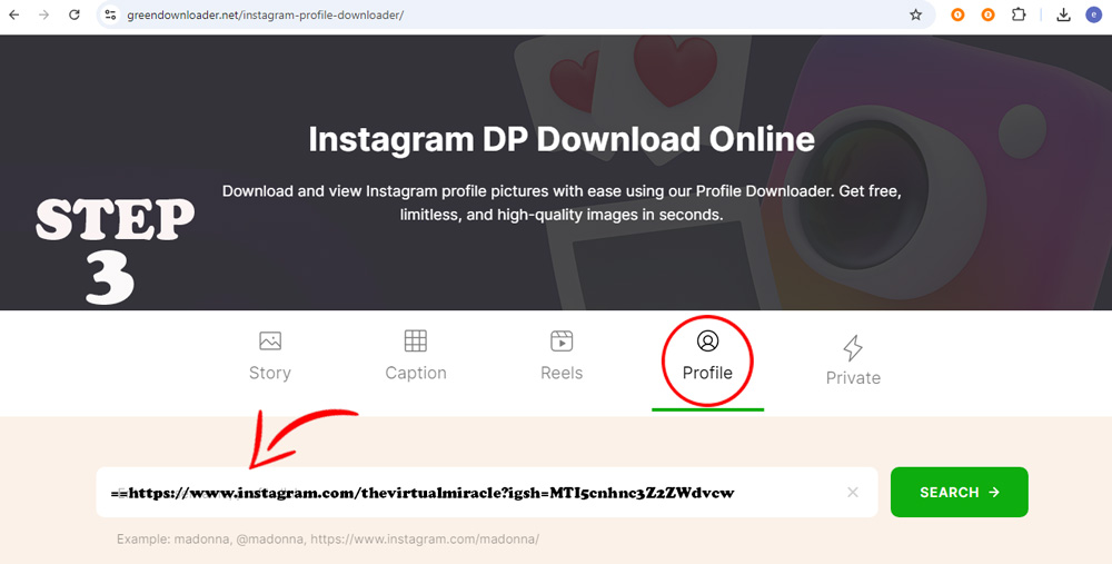 Téléchargeur de Photo de Profil Instagram