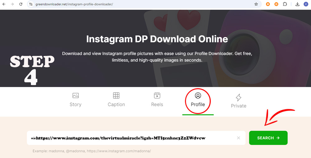 Téléchargeur de Photo de Profil Instagram