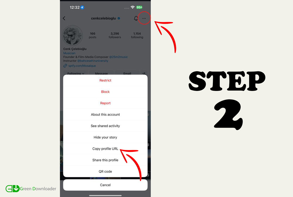 Téléchargeur de Stories Instagram